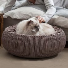 Curver Pet Bed